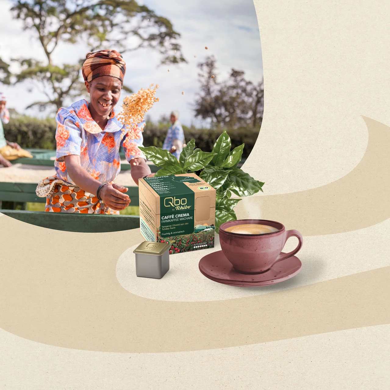 Une femme souriante coiffée d'un foulard jette des grains de café dans un champ, avec une boîte de café Qbo by Tchibo Caffè Crema, une capsule, un plant de café et une tasse de café fumante au premier plan.