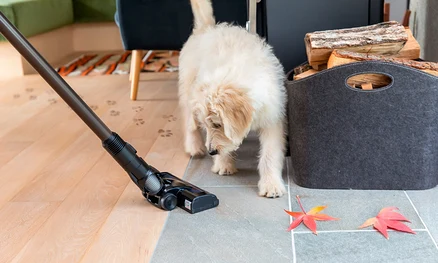 Un aspirateur nettoie un sol avec des empreintes de pattes près d'un chiot, d'un panier de bois et de deux feuilles tombées.