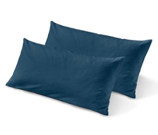 2x bleu