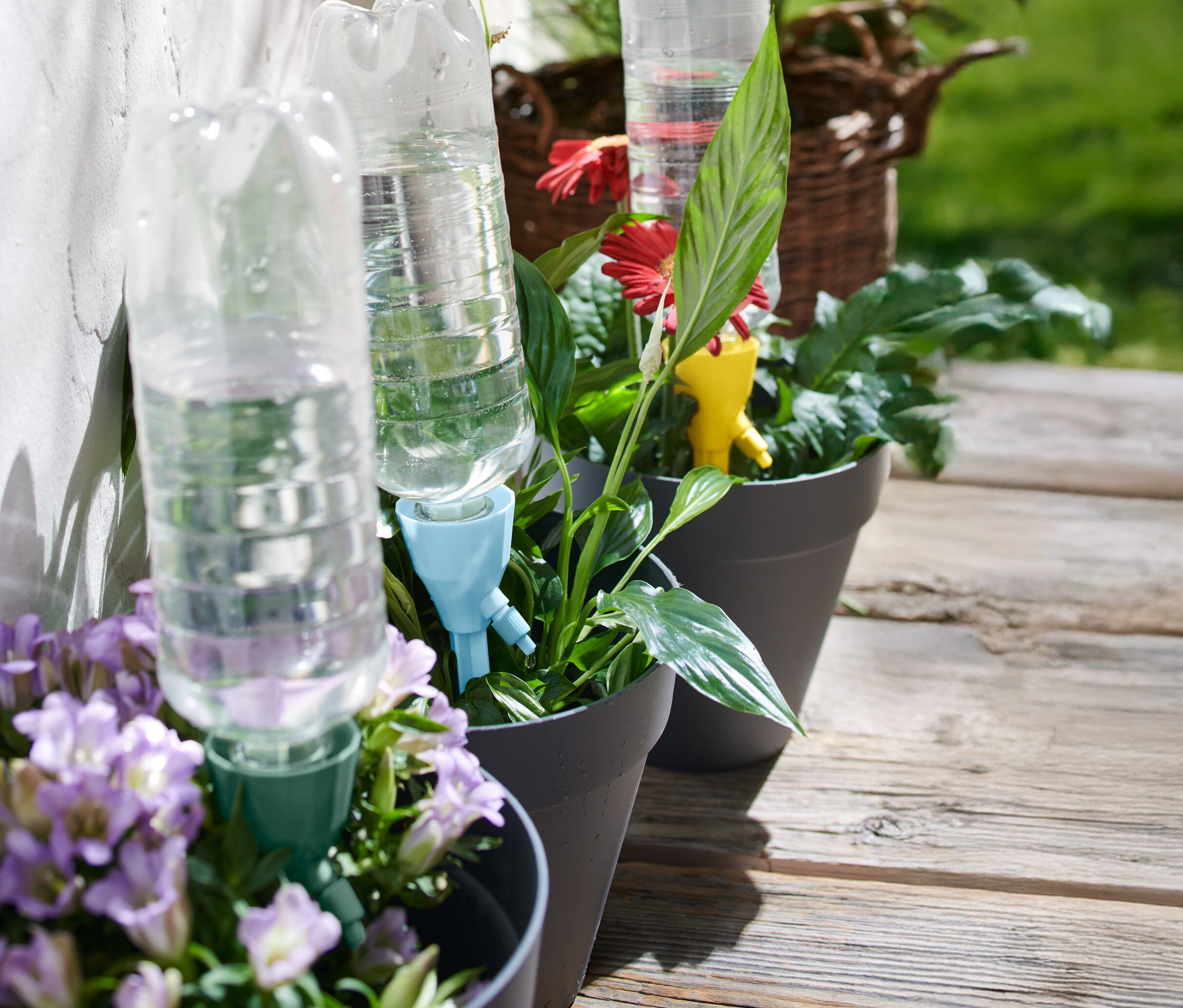 Trois pots de fleurs gris avec des plantes et des systèmes d'arrosage de bouteilles d'eau sont posés sur une terrasse en bois.