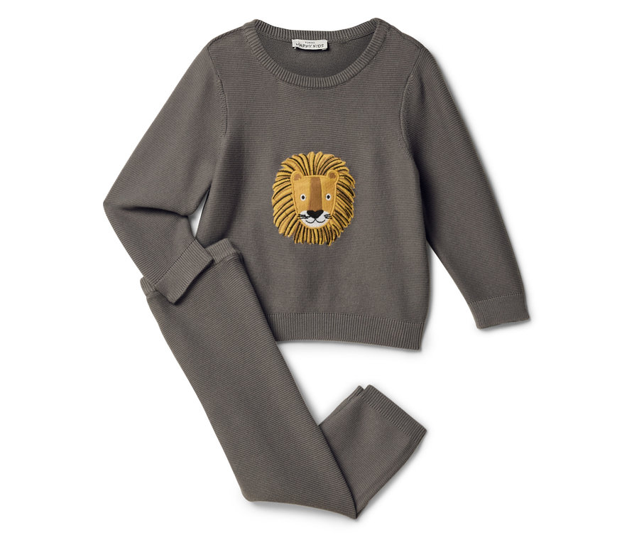 Pull et pantalon gris avec motif de lion.