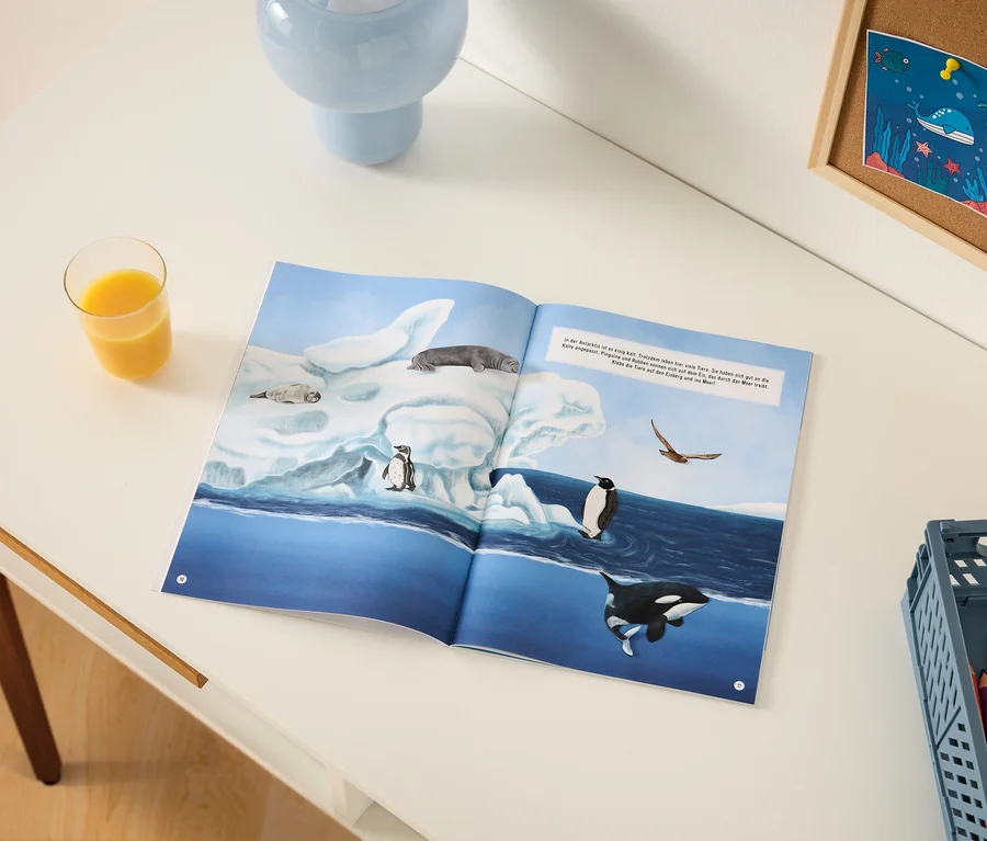 Un livre pour enfants ouvert sur un bureau blanc montre une illustration d'animaux antarctiques comme des phoques, des pingouins et une orque sur des icebergs et de l'eau bleue. Un verre de jus d'orange, un vase bleu clair, un tableau en liège avec un dessin de créatures marines et une caisse grise avec des crayons de couleur sont également sur le bureau.