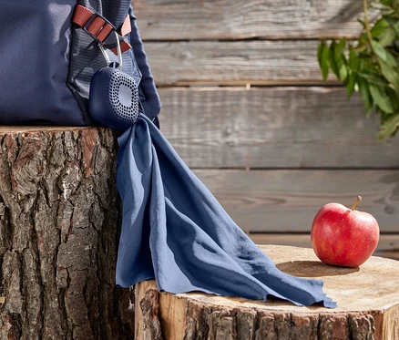 Un sac à dos bleu et une linge de toilette d’extérieur sont suspendus à une souche d’arbre à côté d’une pomme rouge.