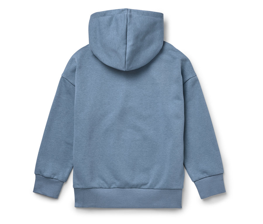 Un sweat à capuche bleu vu de dos sur un fond blanc.