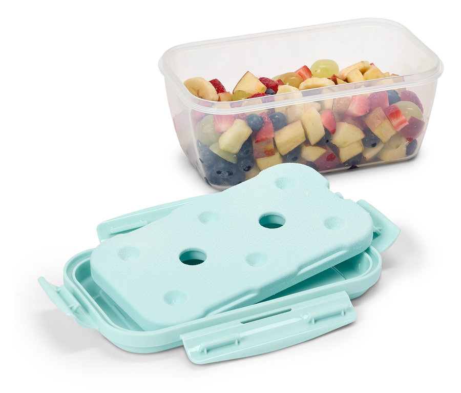 Salade de fruits dans un récipient transparent avec bloc réfrigérant bleu et couvercle.