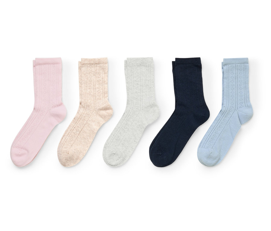 Cinq chaussettes roses, beiges, grises, bleu marine et bleu clair sont alignées sur un fond blanc.