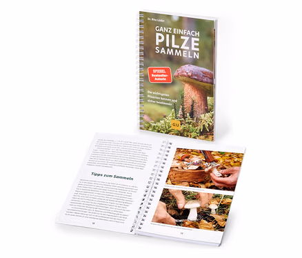 Un livre ouvert et un livre debout « Récolter facilement des champignons ». Le livre debout montre une couverture avec un champignon dans la mousse et le titre. Le livre ouvert montre sur la page 19 deux photos de mains cueillant des champignons.
