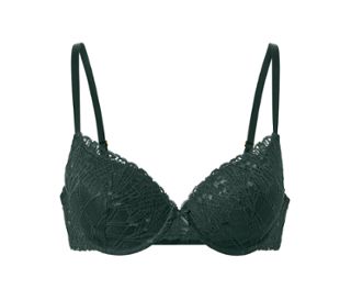 Vert foncé