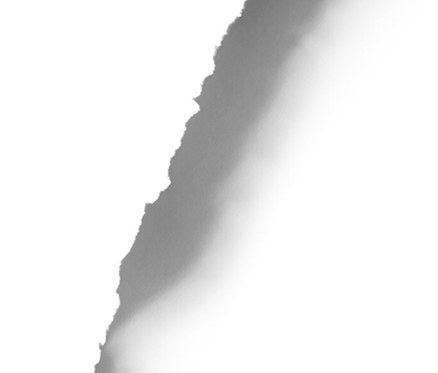 Silhouette d'une bouillotte dinosaure sur fond blanc.