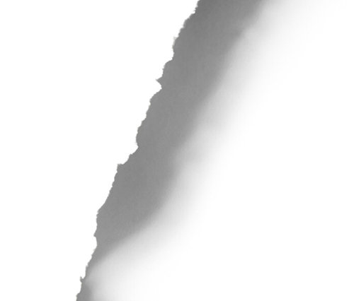 Silhouette d'une bouillotte dinosaure sur fond blanc.