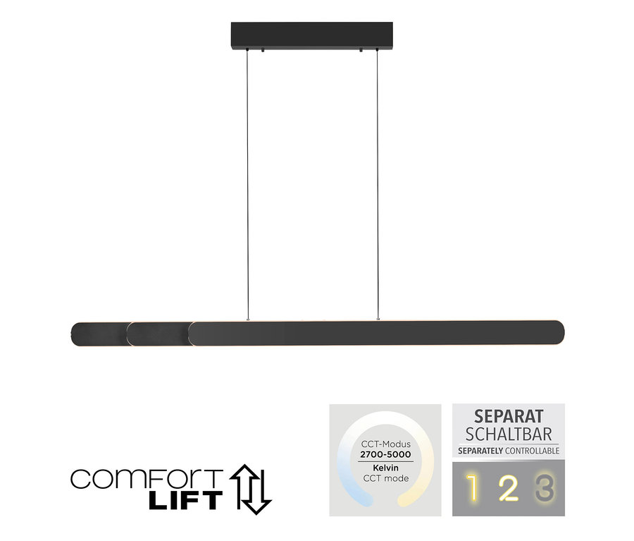 Lampe suspendue LED noire Paul Neuhaus »Adriana Round«.