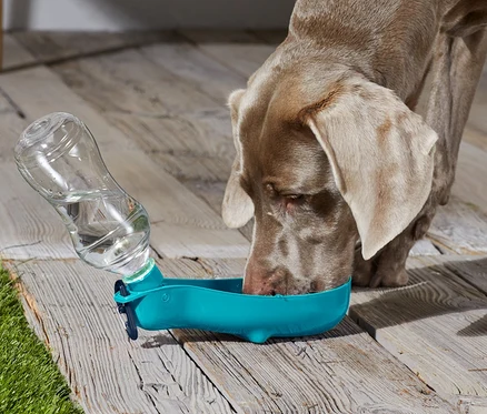 Chien buvant dans une gourde pour chien avec gamelle intégrée.