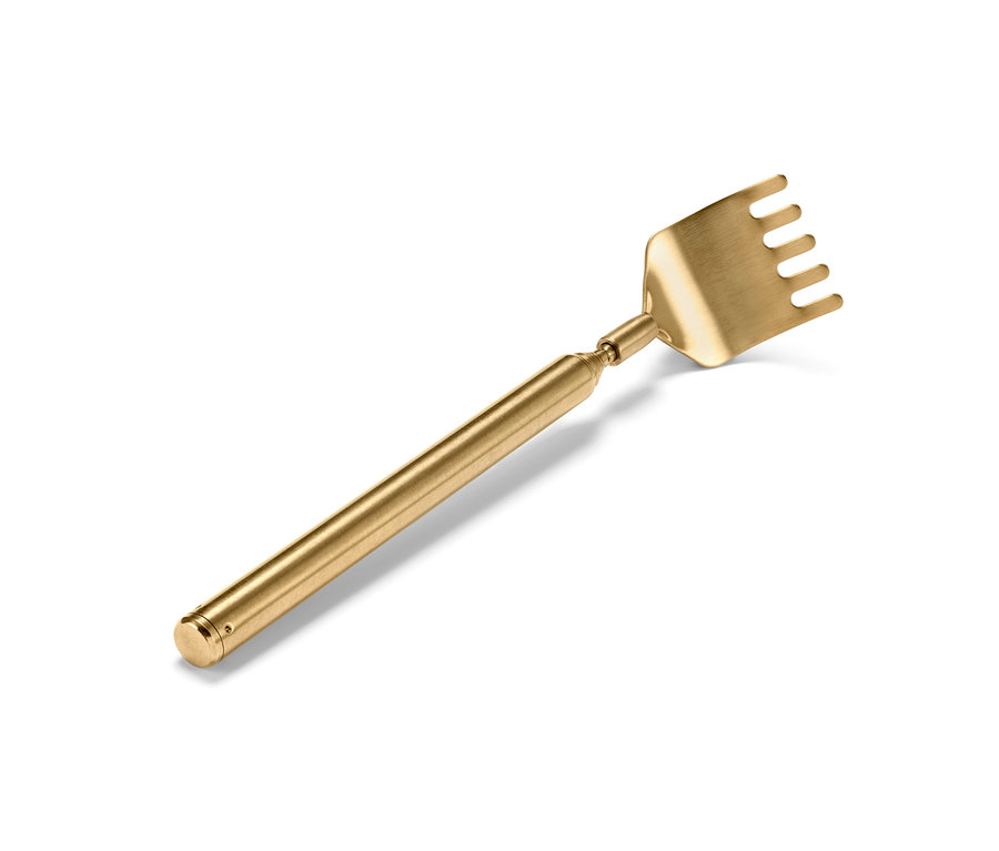 Gratte-dos doré sur fond blanc.