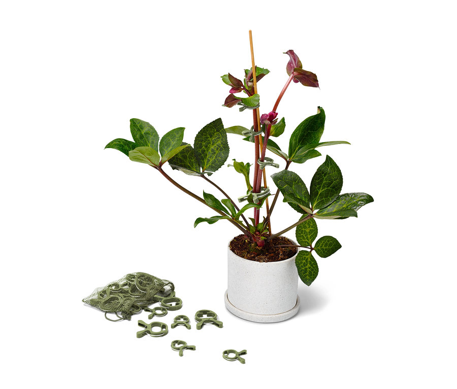 Fleur en pot attachée à une tige à l’aide de 20 clips pour plantes.