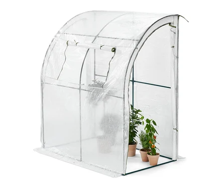 Des plantes en pot sont placées dans une serre de protection à adosser.