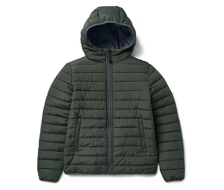 Veste matelassée verte à capuche sur fond blanc.