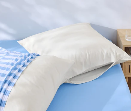 Deux oreillers blancs reposent sur un lit bleu, dont un avec une housse rayée bleu et blanc. Une table de chevet avec de l'eau et un téléphone est à côté du lit.