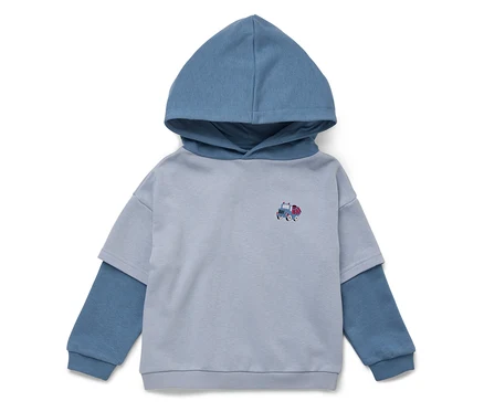Sweat à capuche bleu clair avec un petit patch de camion.