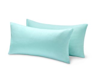 Couleur menthe