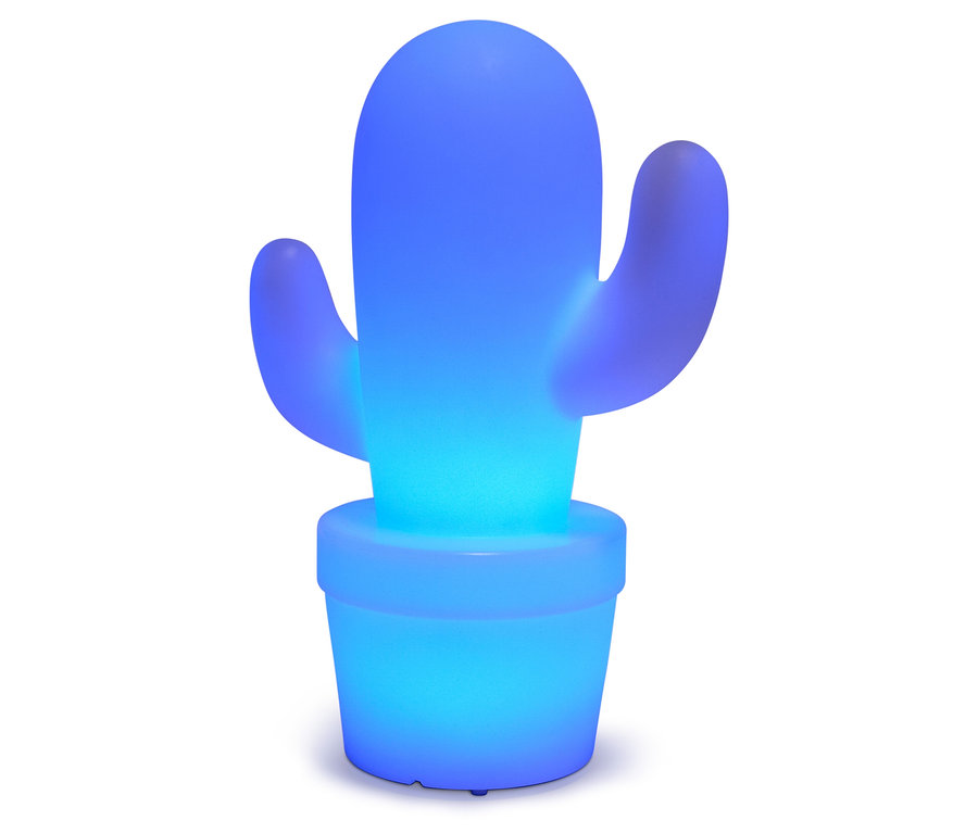 Un cactus bleu lumineux dans un pot de fleurs bleu.