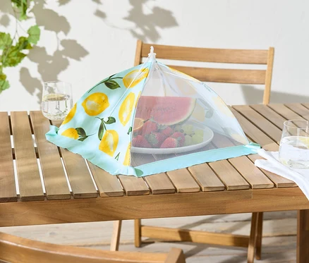 Sur une table en bois, un plat de fruits est placé sous un couvercle en filet turquoise à motif de citron.
