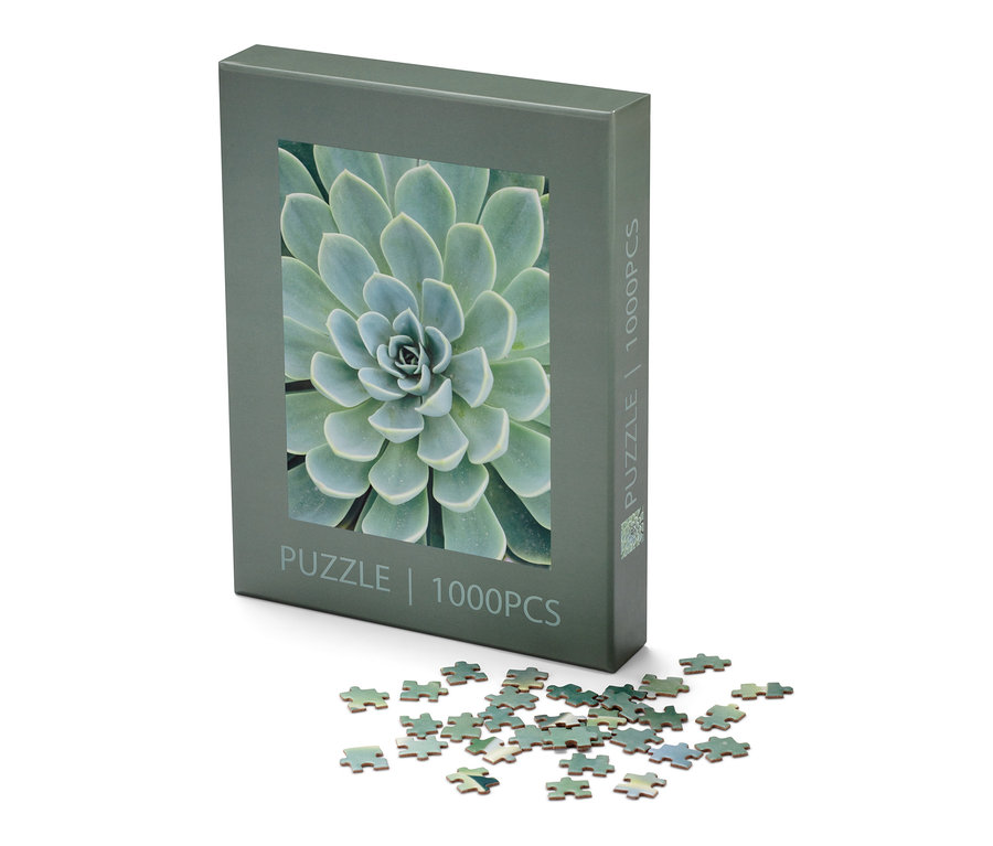 Une boîte de puzzle « Succulentes » et quelques pièces de puzzle sont posées sur un fond blanc.