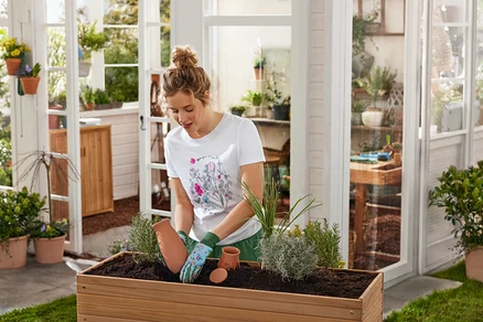Une femme avec un chignon plante des plantes dans une boîte en bois dans une serre.