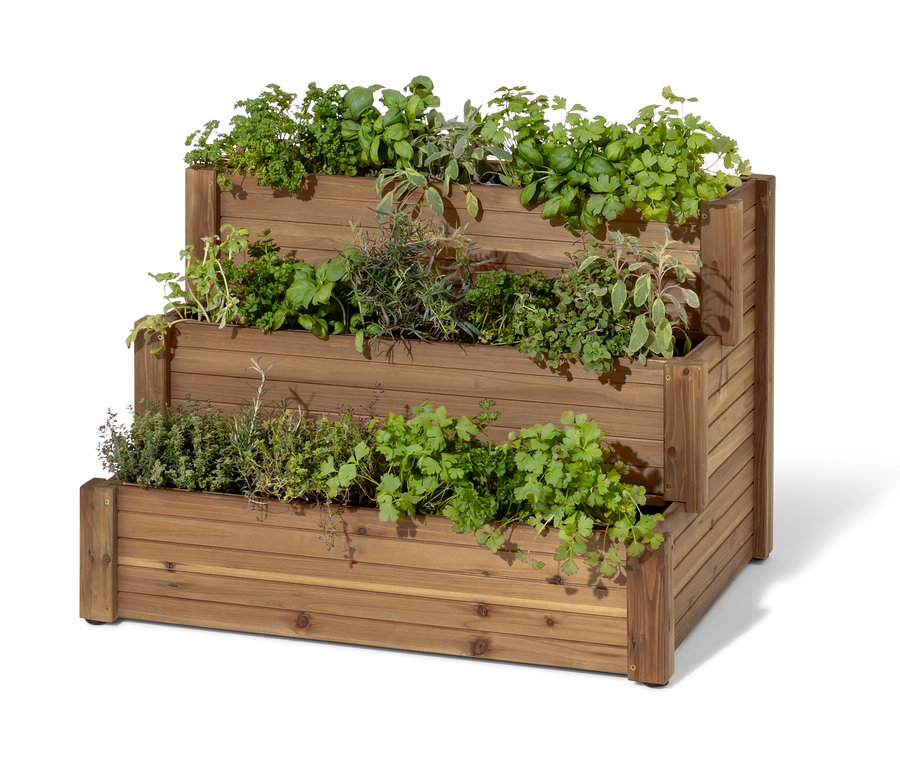 Jardinière en escalier à 3 niveaux « Tinus » en bois avec des herbes aromatiques.