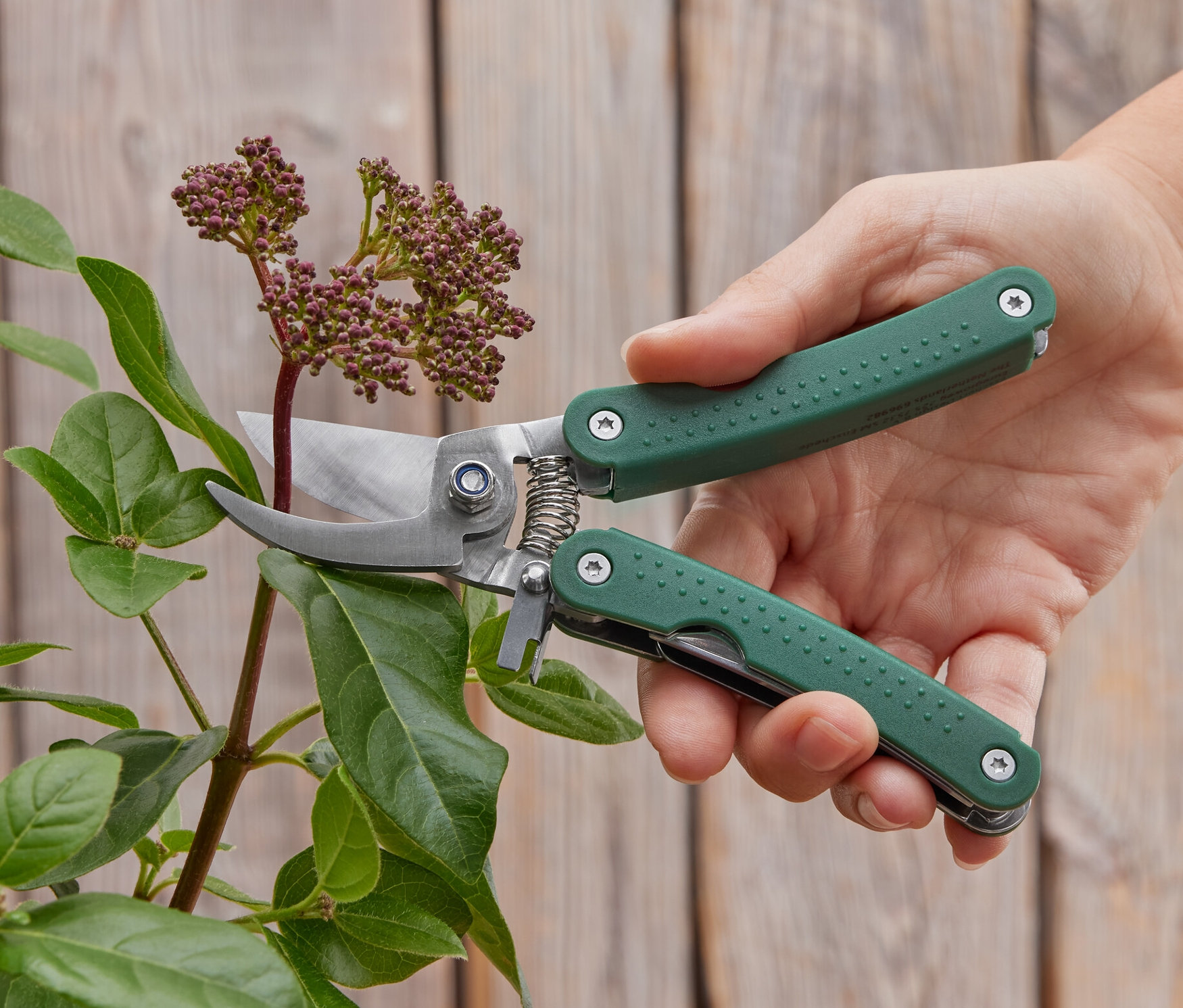 Une main coupe une plante avec un sécateur multifonctions.