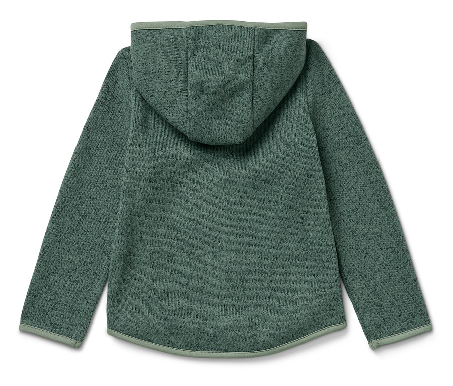 Vue arrière d'un sweat à capuche vert.