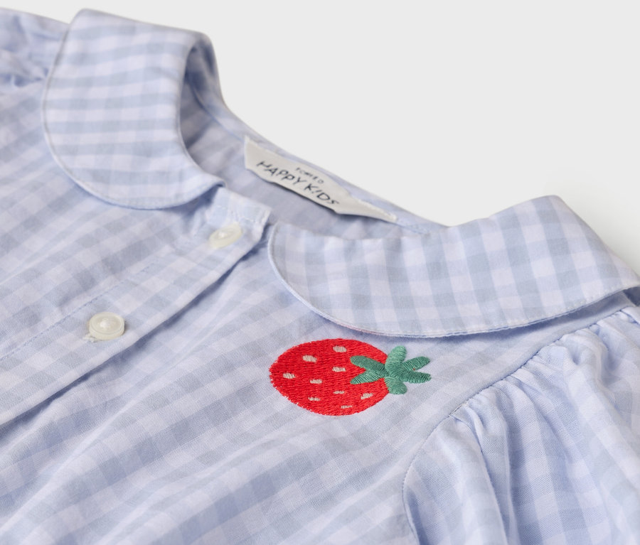 Gros plan d'une chemise à carreaux bleu clair et blanc avec une broderie fraise.