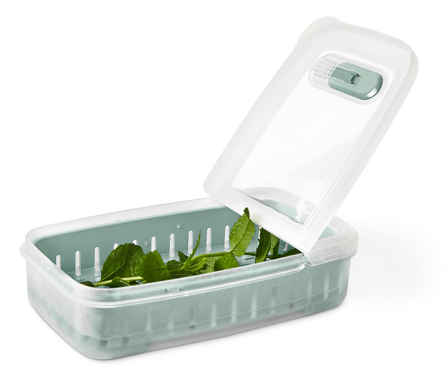 Feuilles de salade vertes dans un récipient vert avec un couvercle transparent sur fond blanc.
