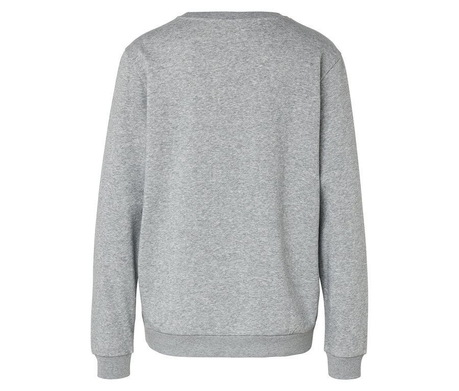 Vue arrière d'un sweat-shirt gris à manches longues.