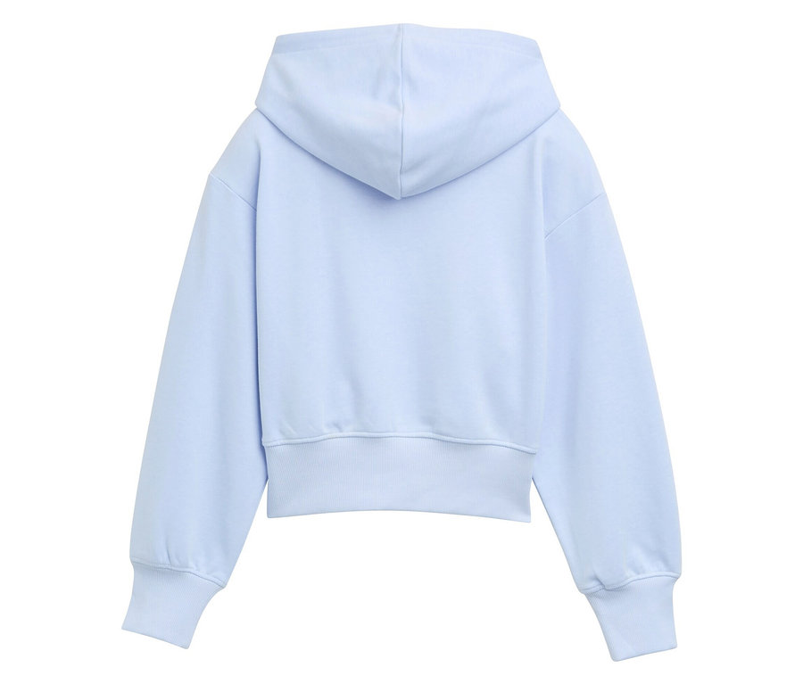 Sweat à capuche bleu clair vu de dos.