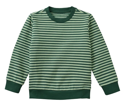 Un t-shirt à manches longues avec des rayures horizontales en deux tons de vert. Il a un col rond, des poignets et un ourlet côtelés.