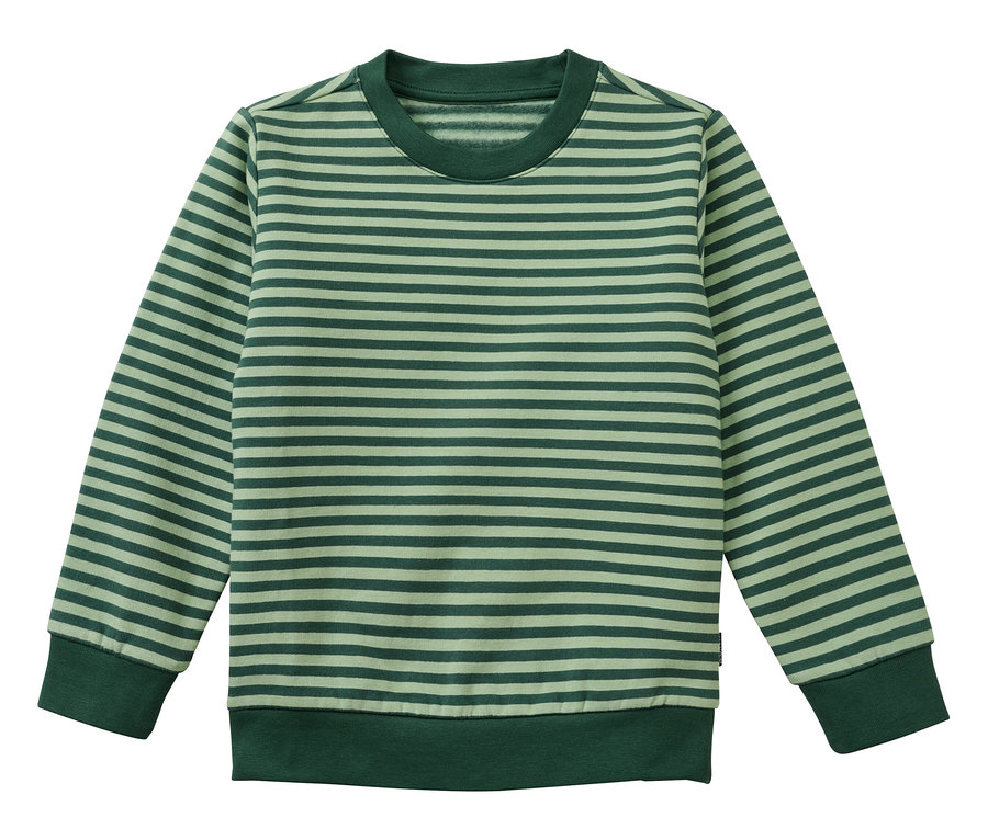 Un t-shirt à manches longues avec des rayures horizontales en deux tons de vert. Il a un col rond, des poignets et un ourlet côtelés.