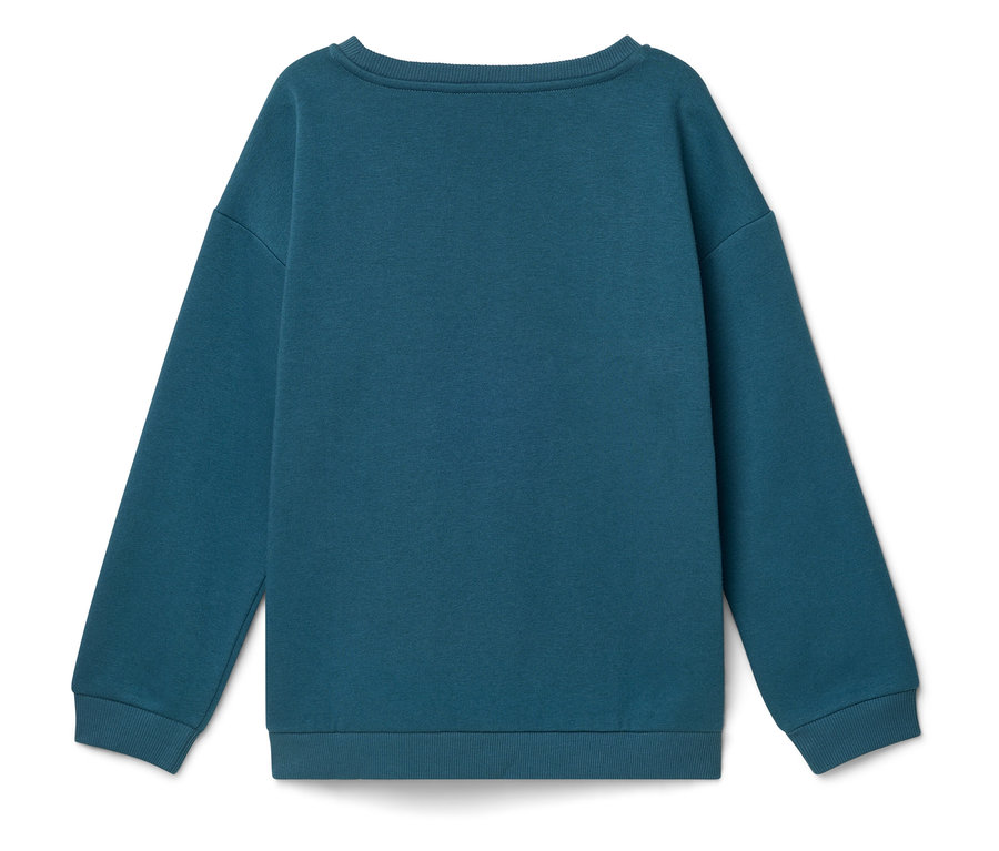 Pull bleu, vue arrière.
