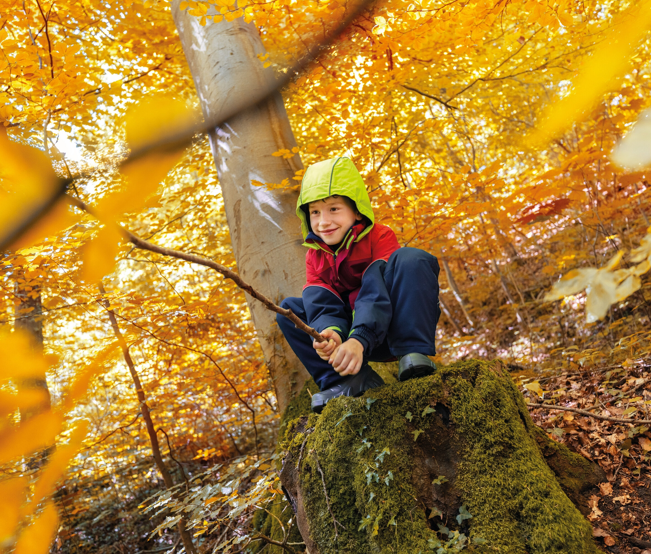 Un garçon avec un chapeau vert est assis sur une souche d'arbre dans une forêt d'automne et tient un bâton.
