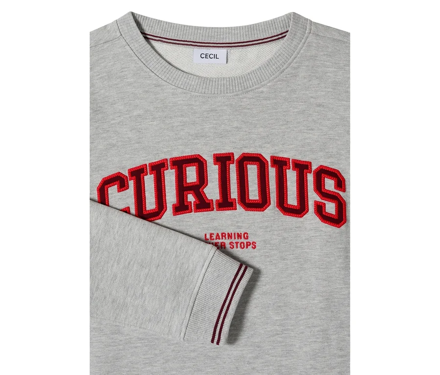 Sweatshirt CECIL gris avec l'inscription brodée rouge "CURIOUS" et "LEARNING NEVER STOPS" en dessous. L'encolure et les poignets côtelés ont des rayures rouge foncé.