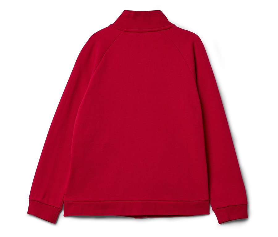 Vue arrière d'un sweat-shirt rouge à col montant.