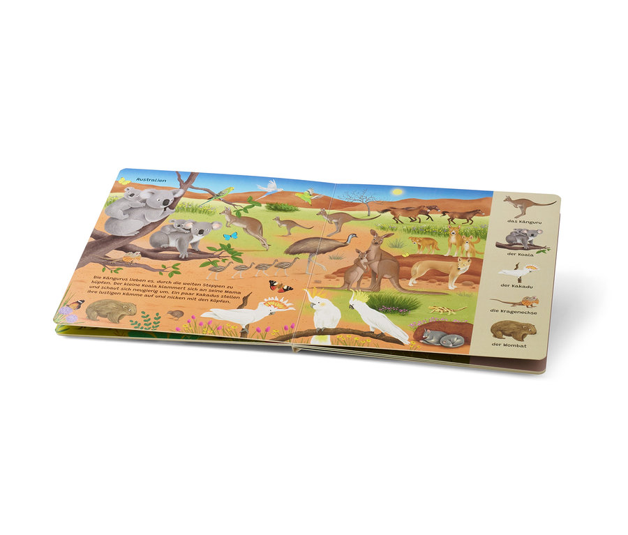 Livre ouvert « Mein erstes Wimmelbuch – Wilde Tiere » (Mon premier livre cherche et trouve – Animaux sauvages, en allemand) avec des illustrations d'animaux sauvages d'Australie, notamment des kangourous, des koalas, des cacatoès et des wombats.