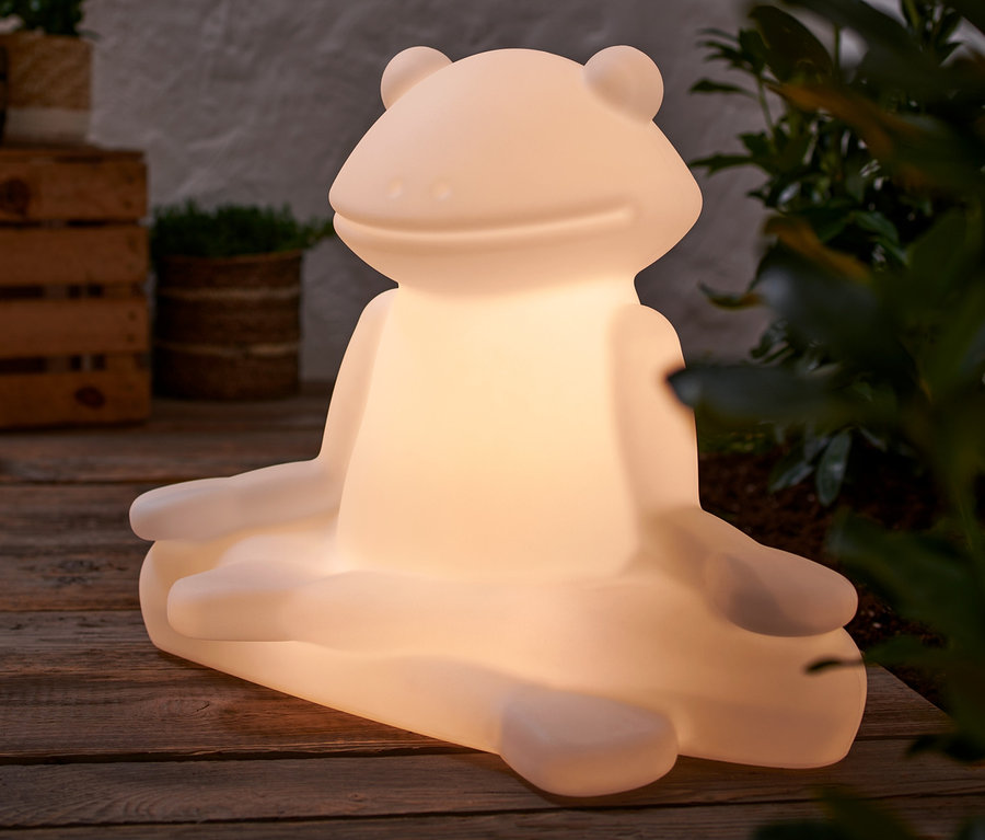 Lampe solaire Premium « Grenouille » posée sur un plancher en bois à côté de plantes.