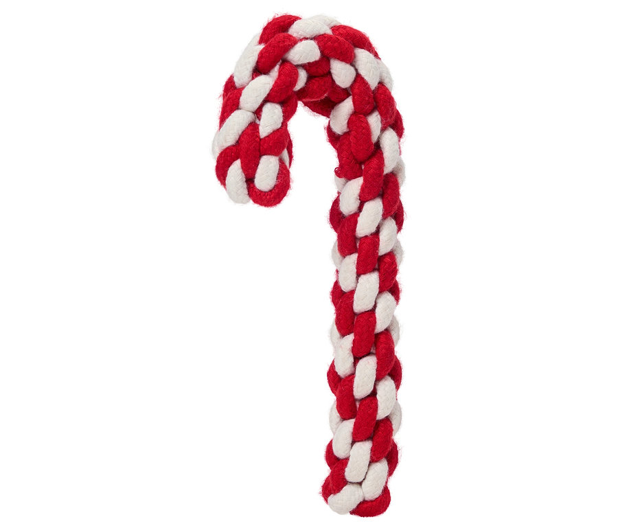 Jouet pour chien en corde rouge et blanche en forme de canne de Noël sur fond blanc.