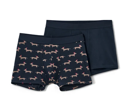 Deux boxers, l'un avec un motif de teckels, l'autre bleu.