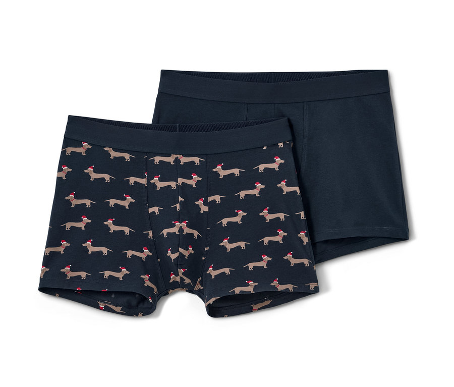 Deux boxers, l'un avec un motif de teckels, l'autre bleu.