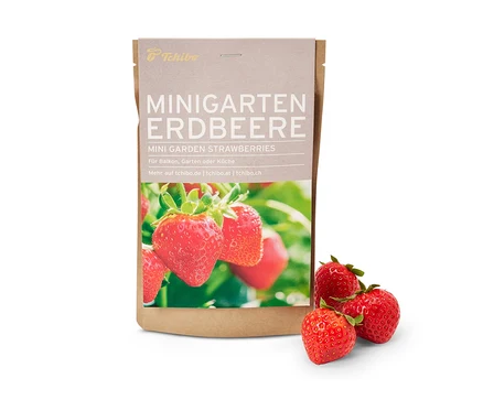 Mini-jardin dans une pochette en papier, fraises, avec trois fraises fraîches à côté.