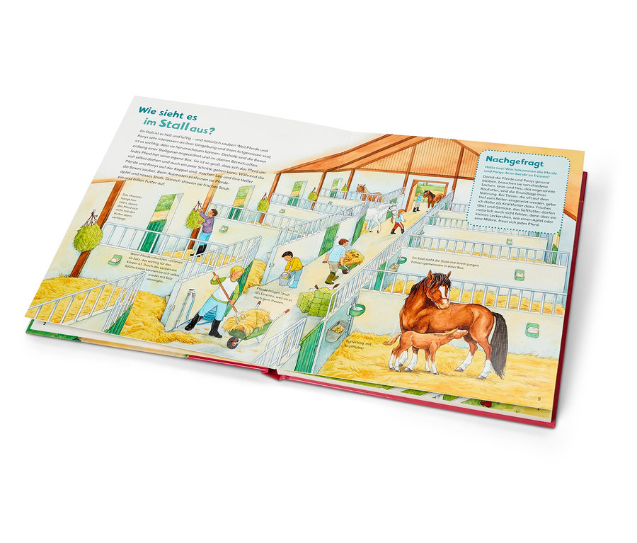 Livre ouvert avec une illustration de l'intérieur d'une étable avec des chevaux et des personnes qui s'en occupent.