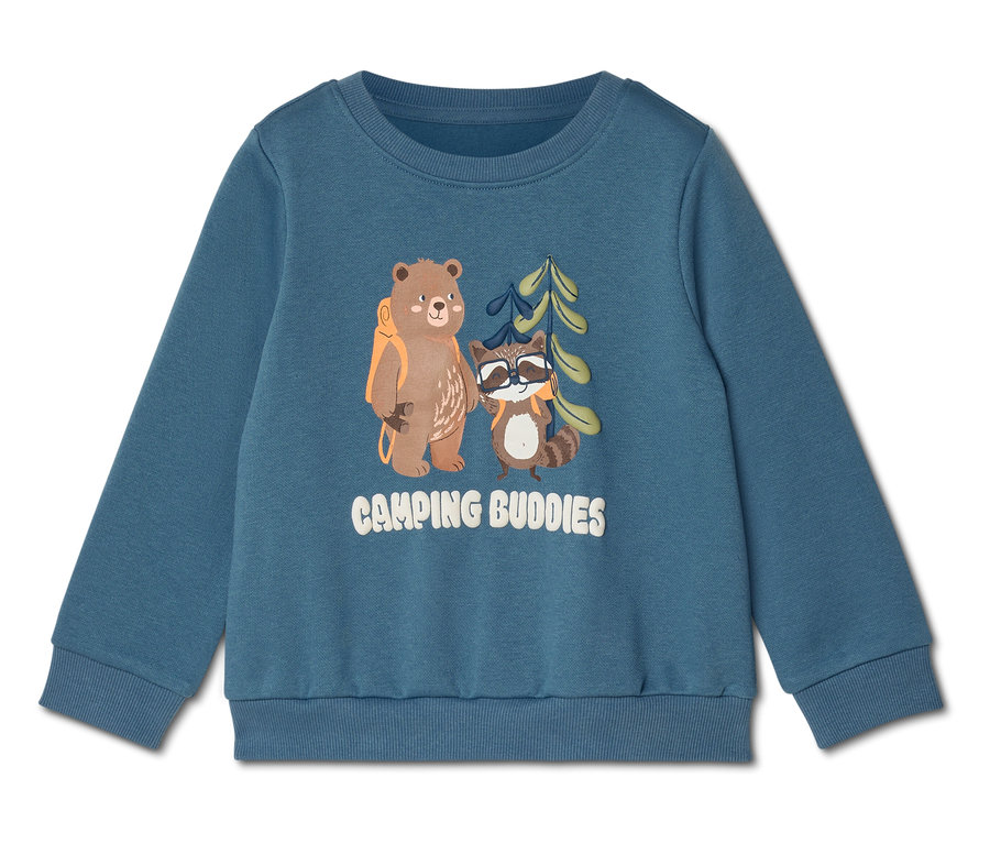 Pull bleu avec un ours avec un sac à dos, un raton laveur avec des lunettes de soleil et l'inscription "Camping Buddies".