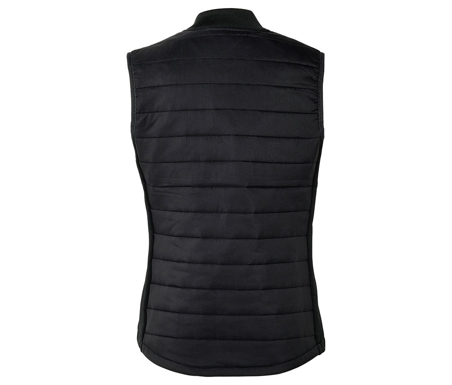 Vue arrière d'un gilet matelassé noir sans manches avec un col montant.