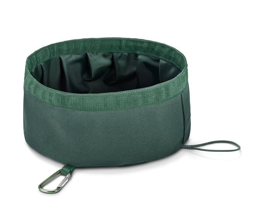 Une écuelle pliable verte pour chien.